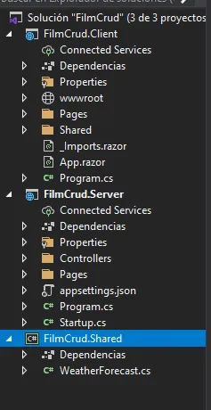 Blazor Web Assembly estructura de proyecto